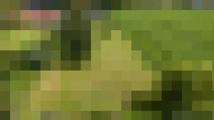 Borgsweer 11 Borgsweer thumbnail 65