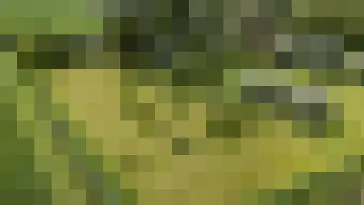 Borgsweer 11 Borgsweer thumbnail 66