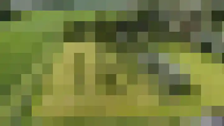 Borgsweer 11 Borgsweer thumbnail 67