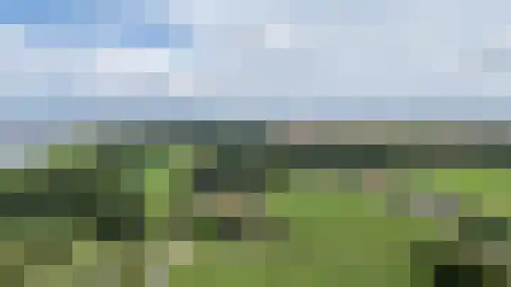 Borgsweer 11 Borgsweer thumbnail 68