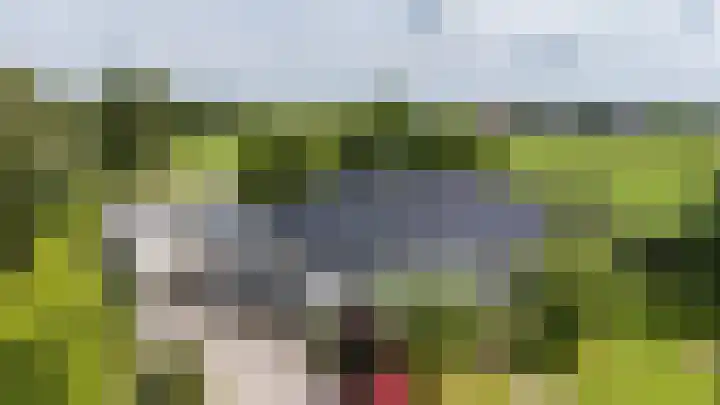 Borgsweer 11 Borgsweer thumbnail 7