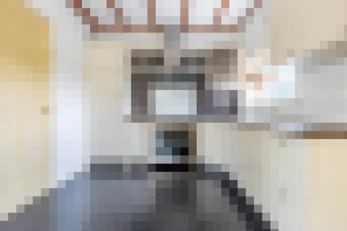 Borgsweer 22 Borgsweer thumbnail 19