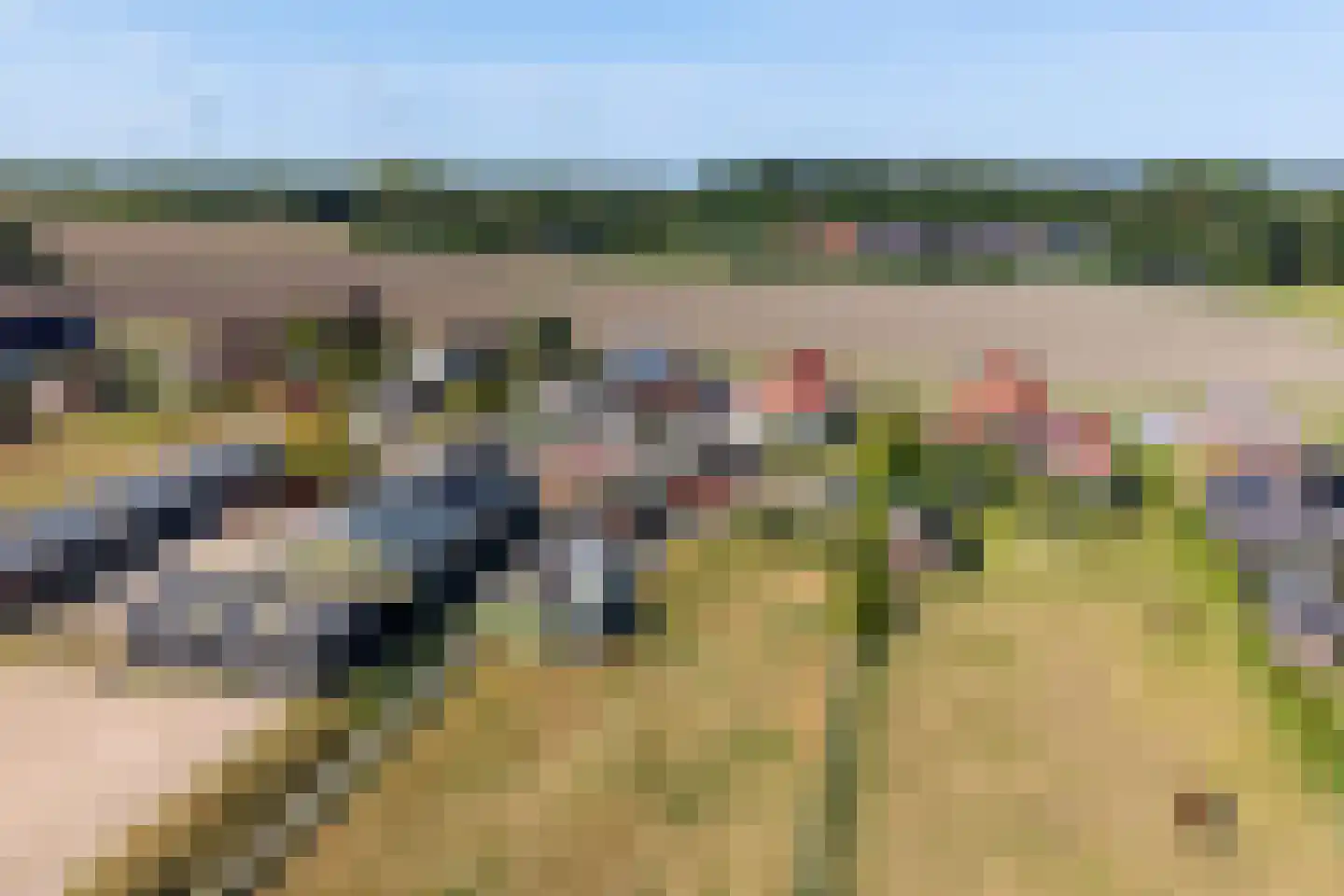 Borgsweer 23 Borgsweer thumbnail 20