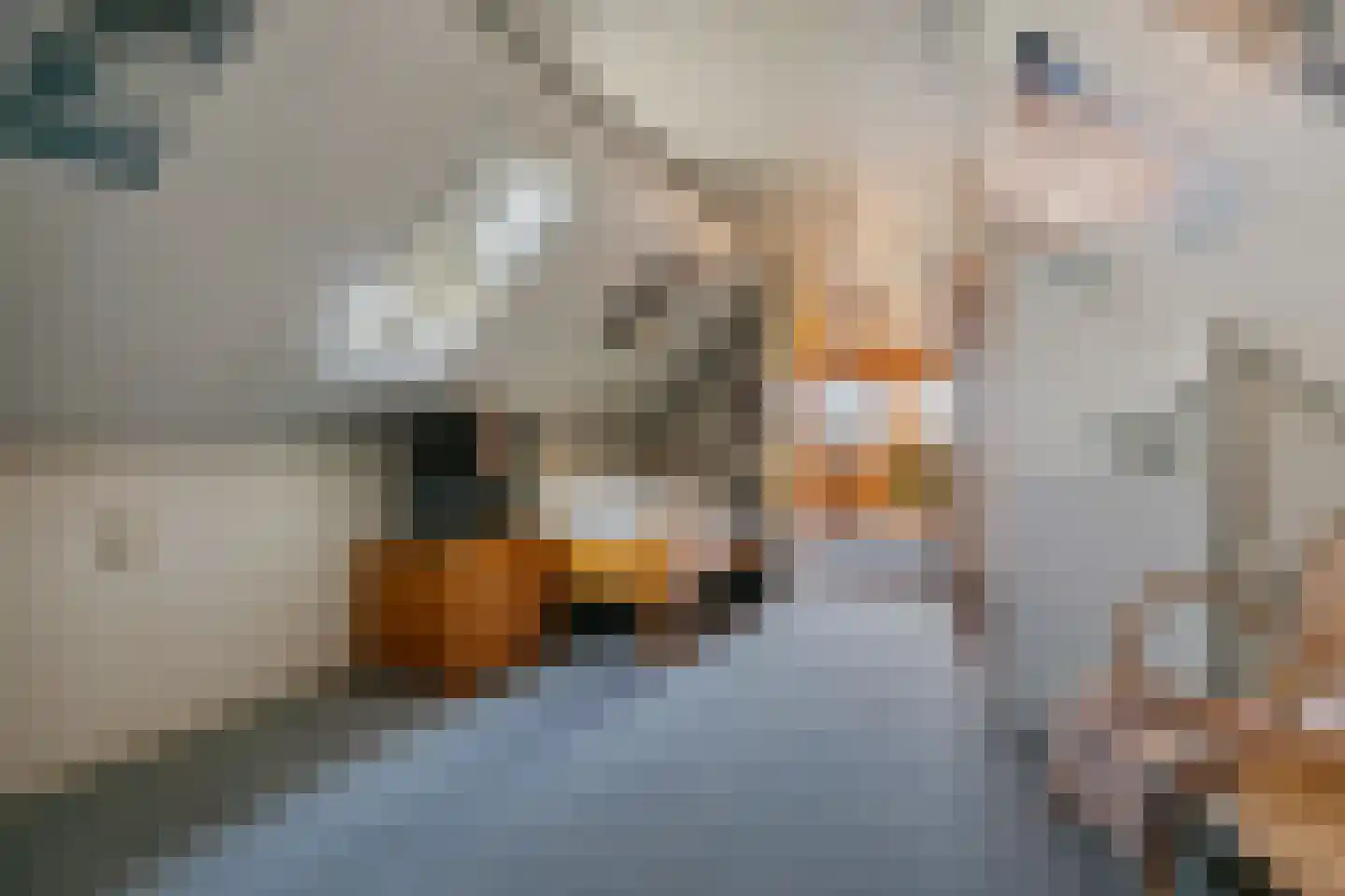 Borgsweer 23 Borgsweer thumbnail 49