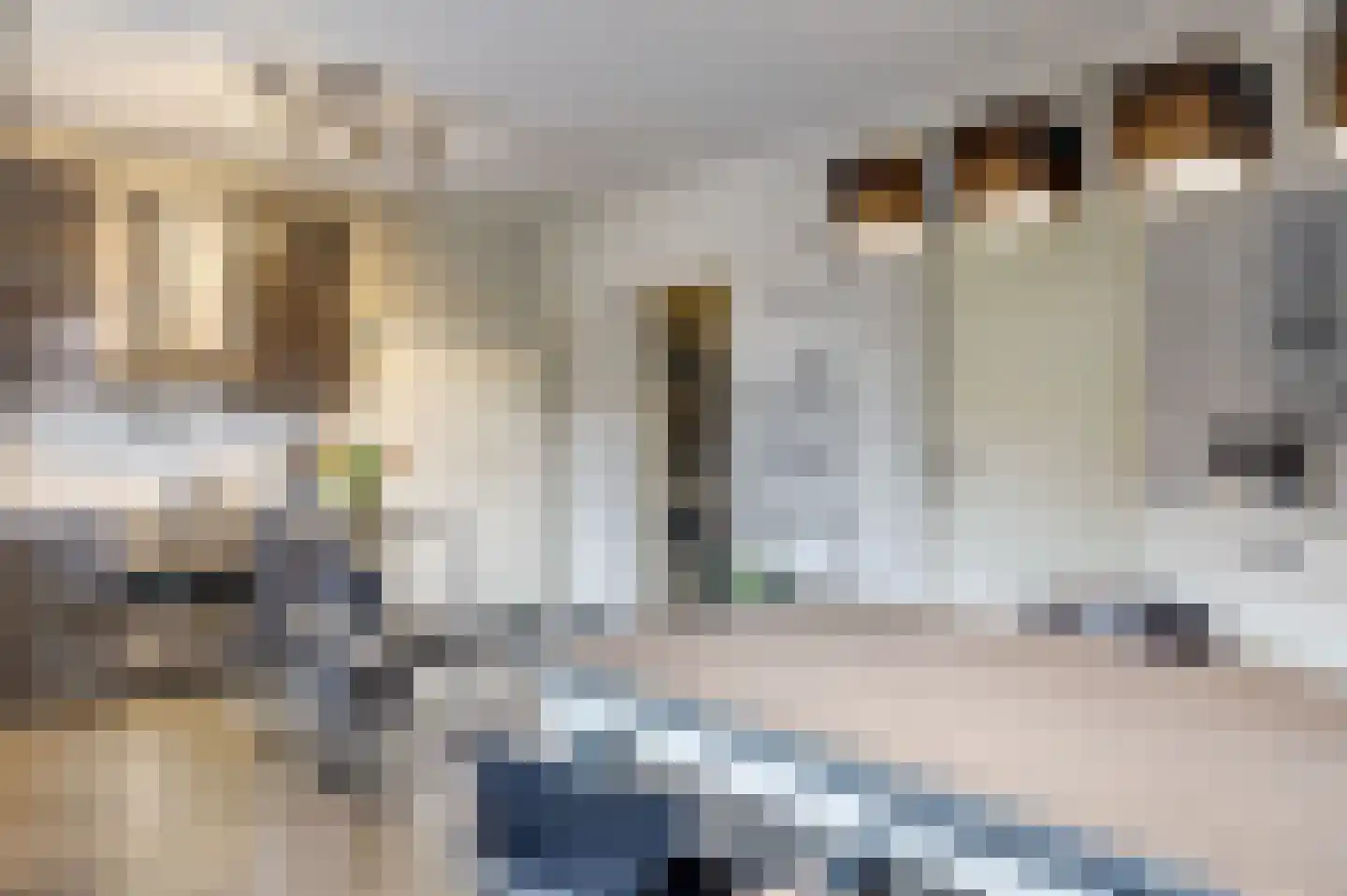 Borgsweg 3 Posterholt thumbnail 18