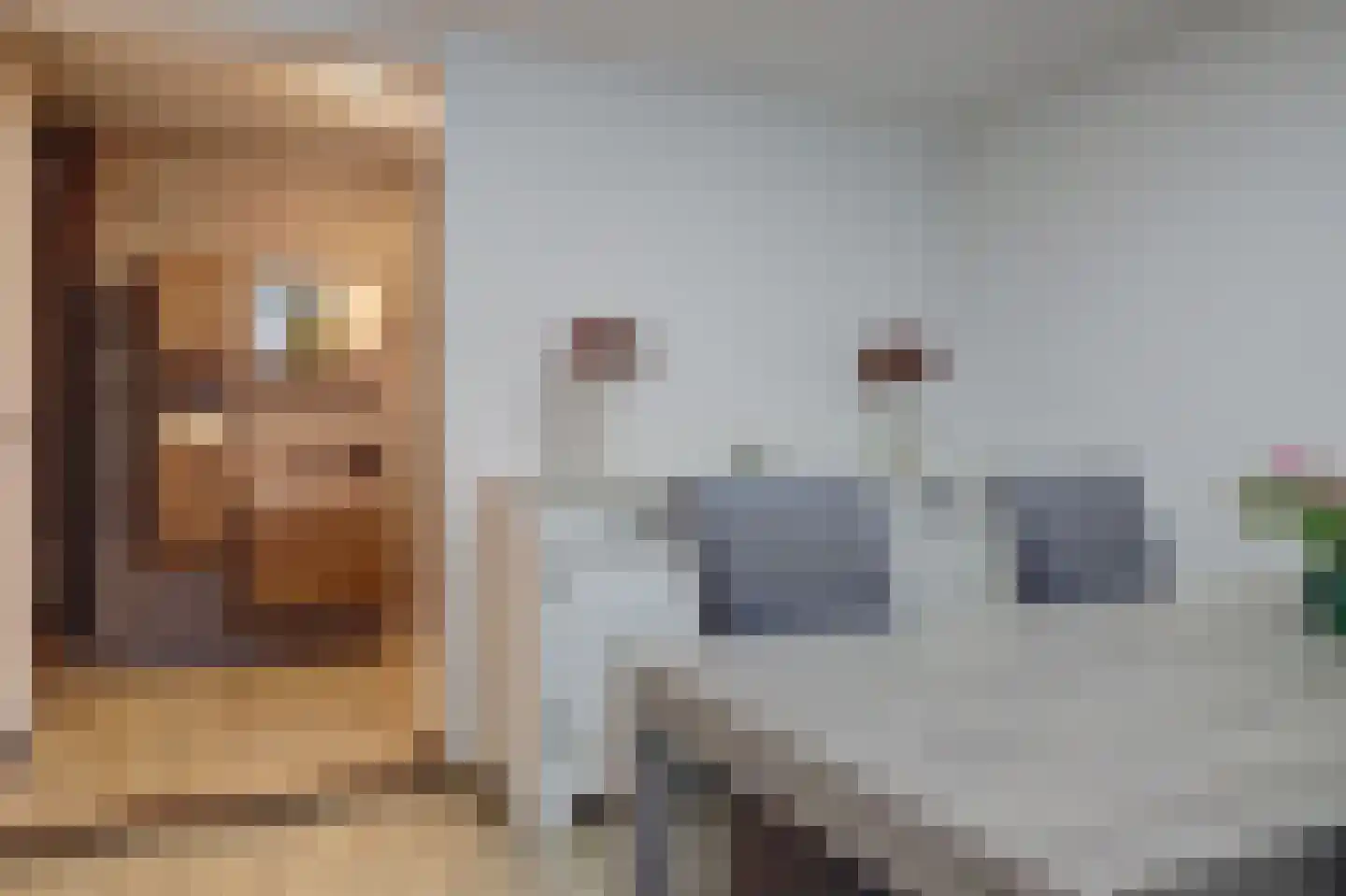 Borgsweg 3 Posterholt thumbnail 21