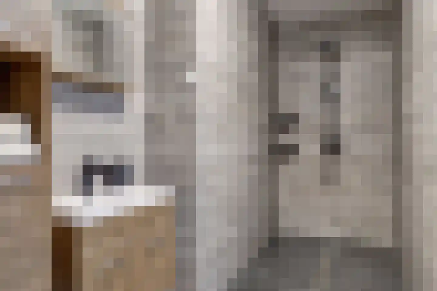 Borgsweg 3 Posterholt thumbnail 23