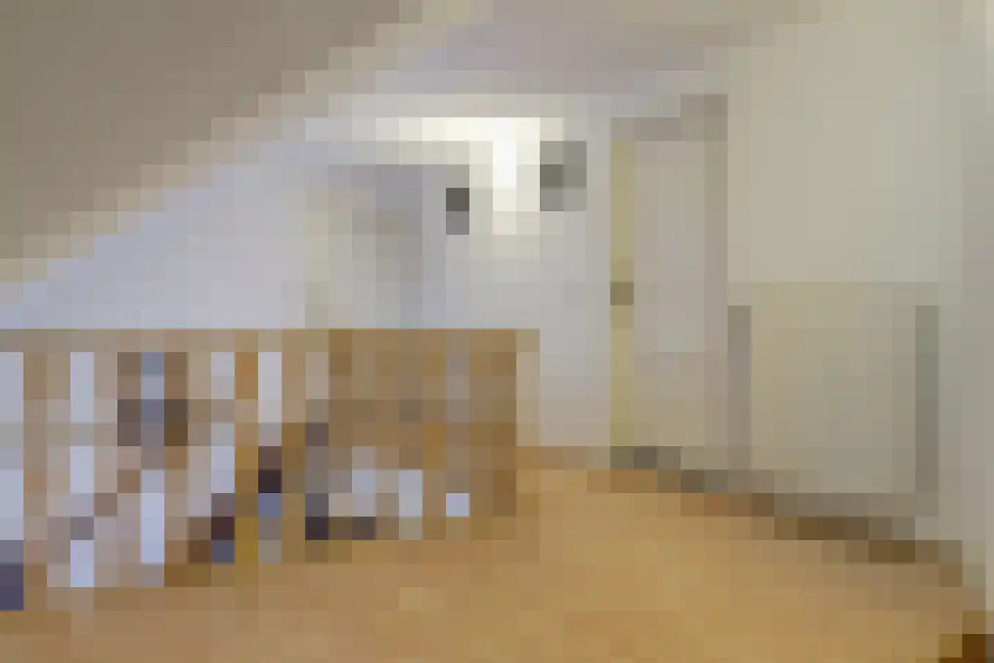 Borgsweg 3 Posterholt thumbnail 25