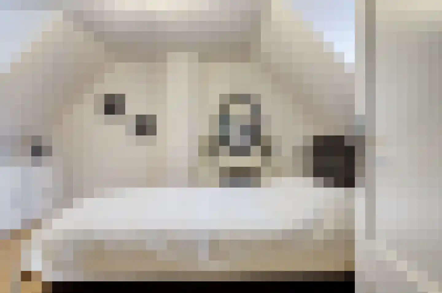 Borgsweg 3 Posterholt thumbnail 27
