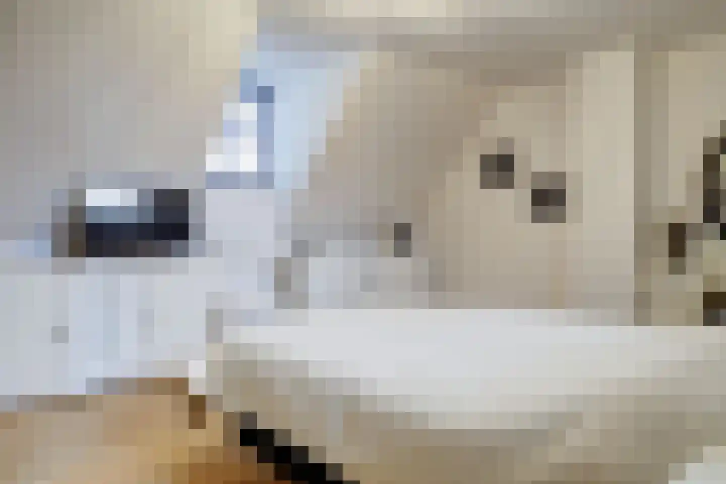 Borgsweg 3 Posterholt thumbnail 28