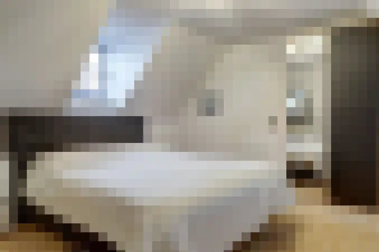 Borgsweg 3 Posterholt thumbnail 30