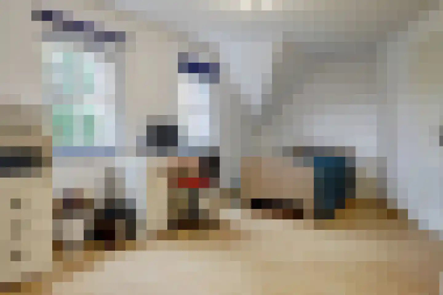 Borgsweg 3 Posterholt thumbnail 32