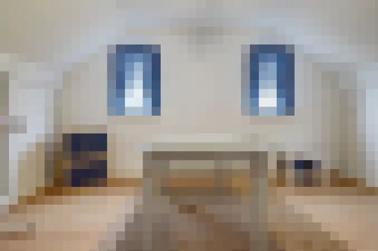 Borgsweg 3 Posterholt thumbnail 36