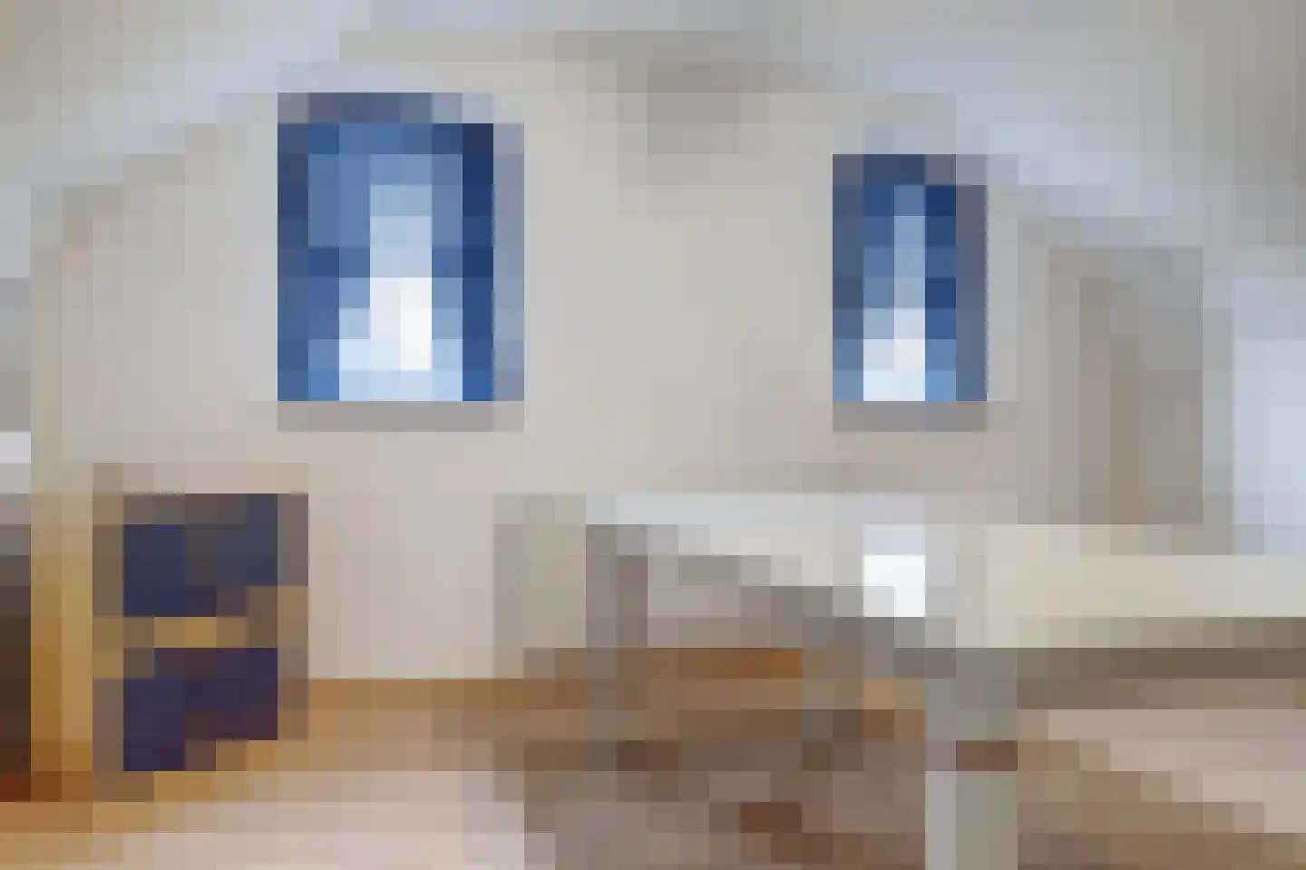 Borgsweg 3 Posterholt thumbnail 38