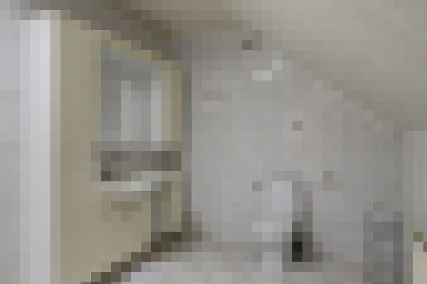 Borgsweg 3 Posterholt thumbnail 40