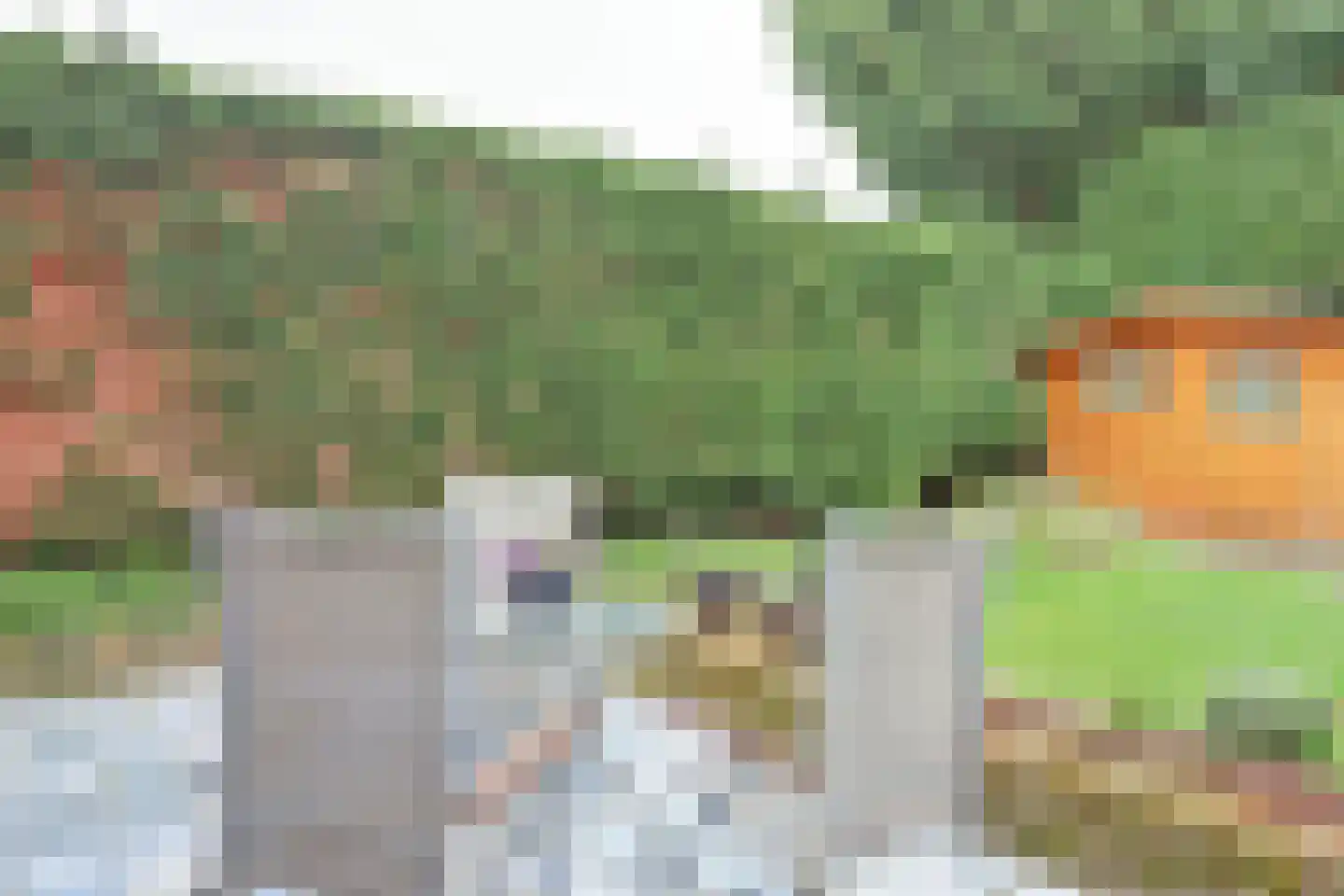 Borgsweg 3 Posterholt thumbnail 45