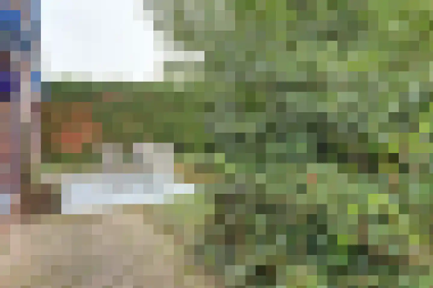 Borgsweg 3 Posterholt thumbnail 46
