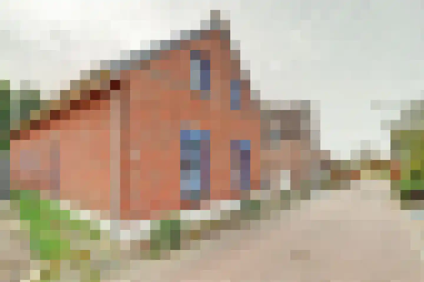 Borgsweg 3 Posterholt thumbnail 51