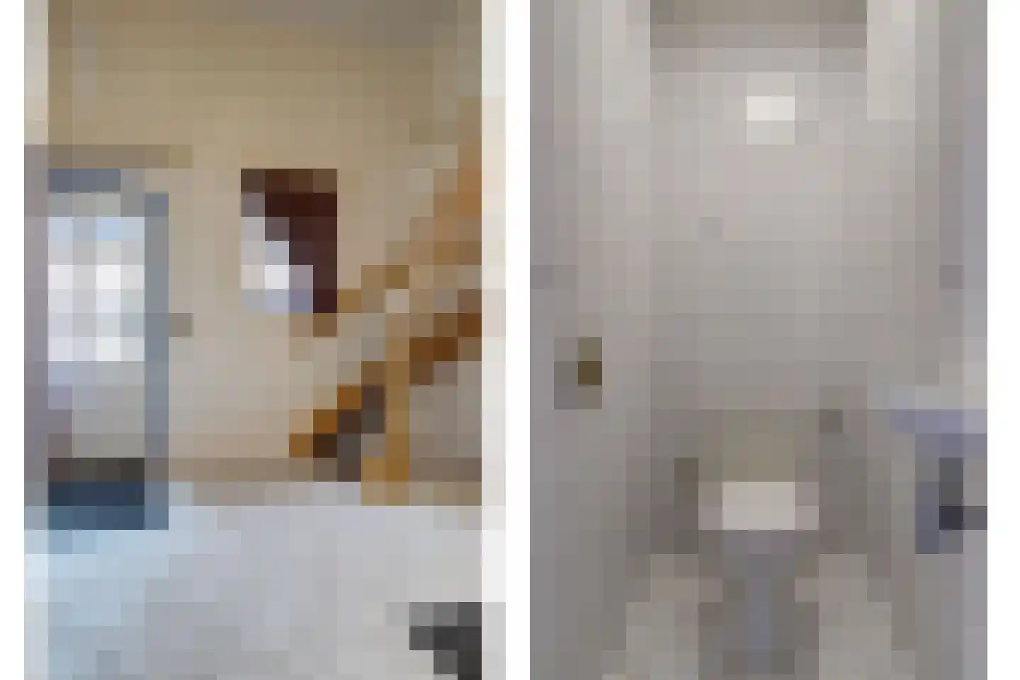 Borgsweg 3 Posterholt thumbnail 6