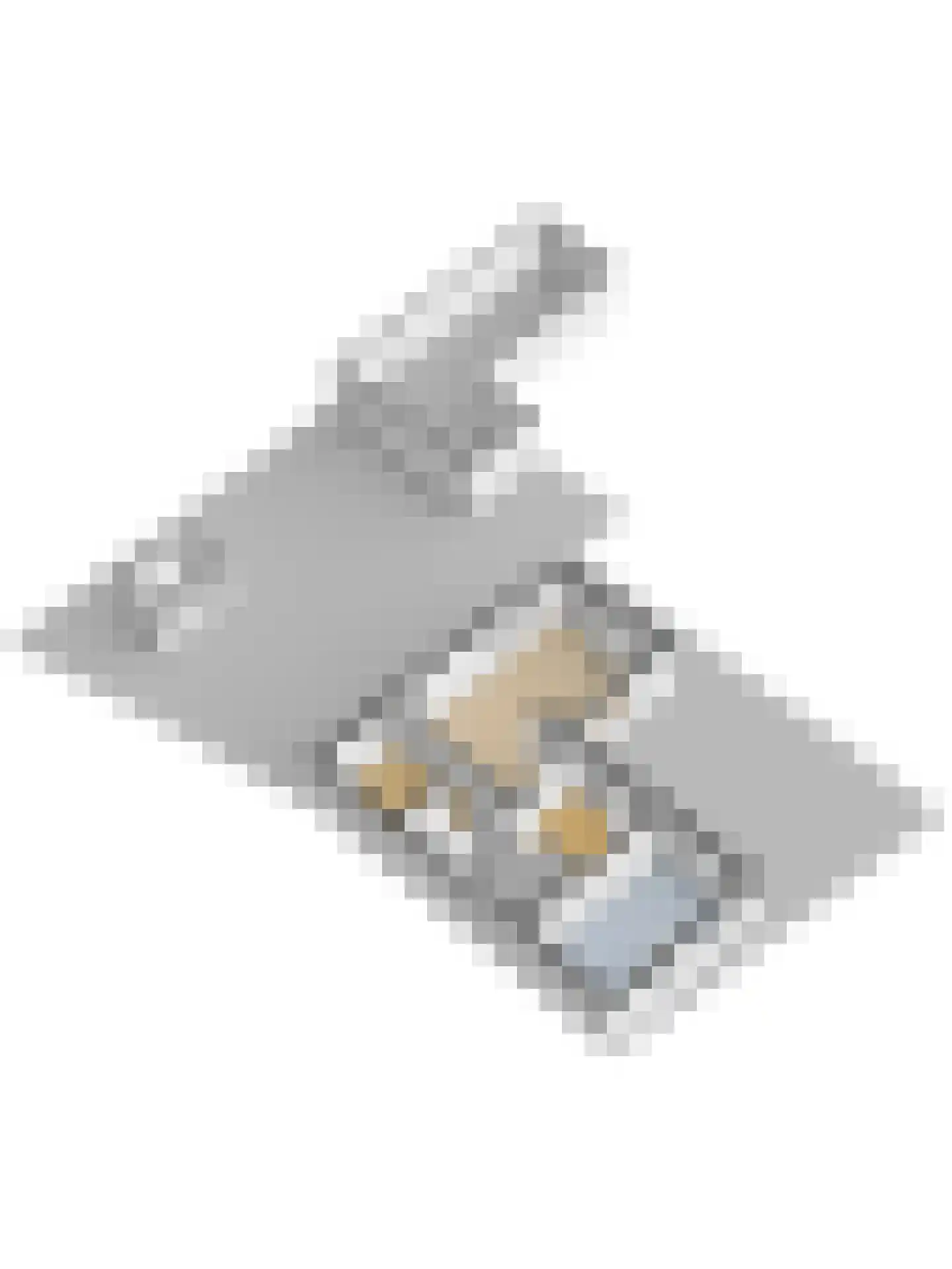 Borgsweg 3 Posterholt thumbnail 61