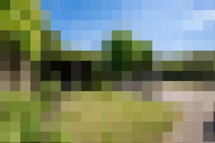 Borgvliet 13 Oss thumbnail 4