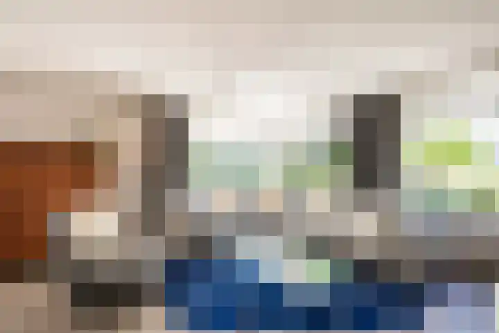 Borgvliet 13 Oss thumbnail 7