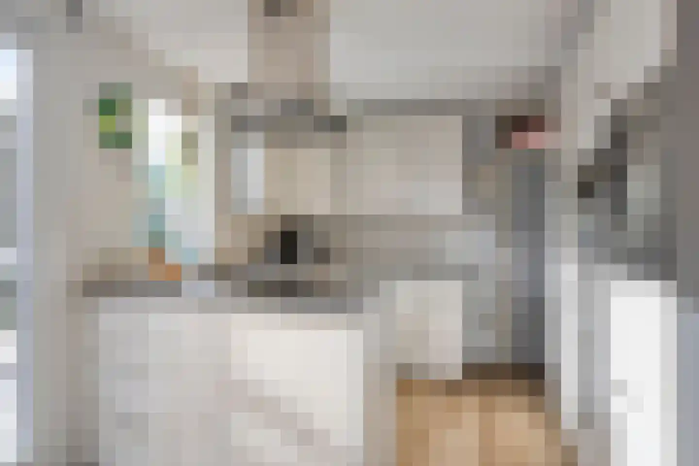 Borgvliet 30 Oss thumbnail 10