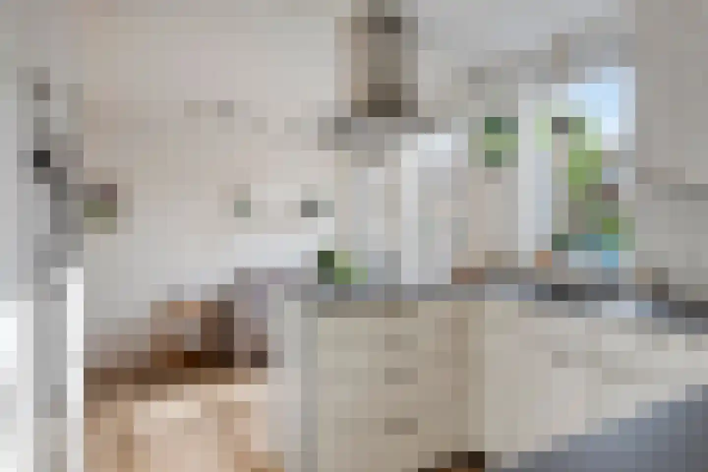 Borgvliet 30 Oss thumbnail 11