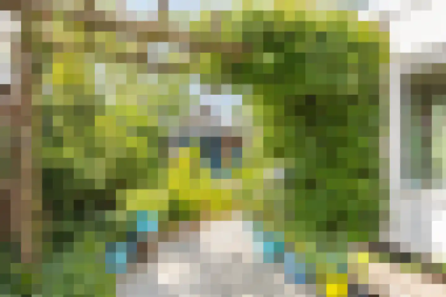 Borgvliet 30 Oss thumbnail 25