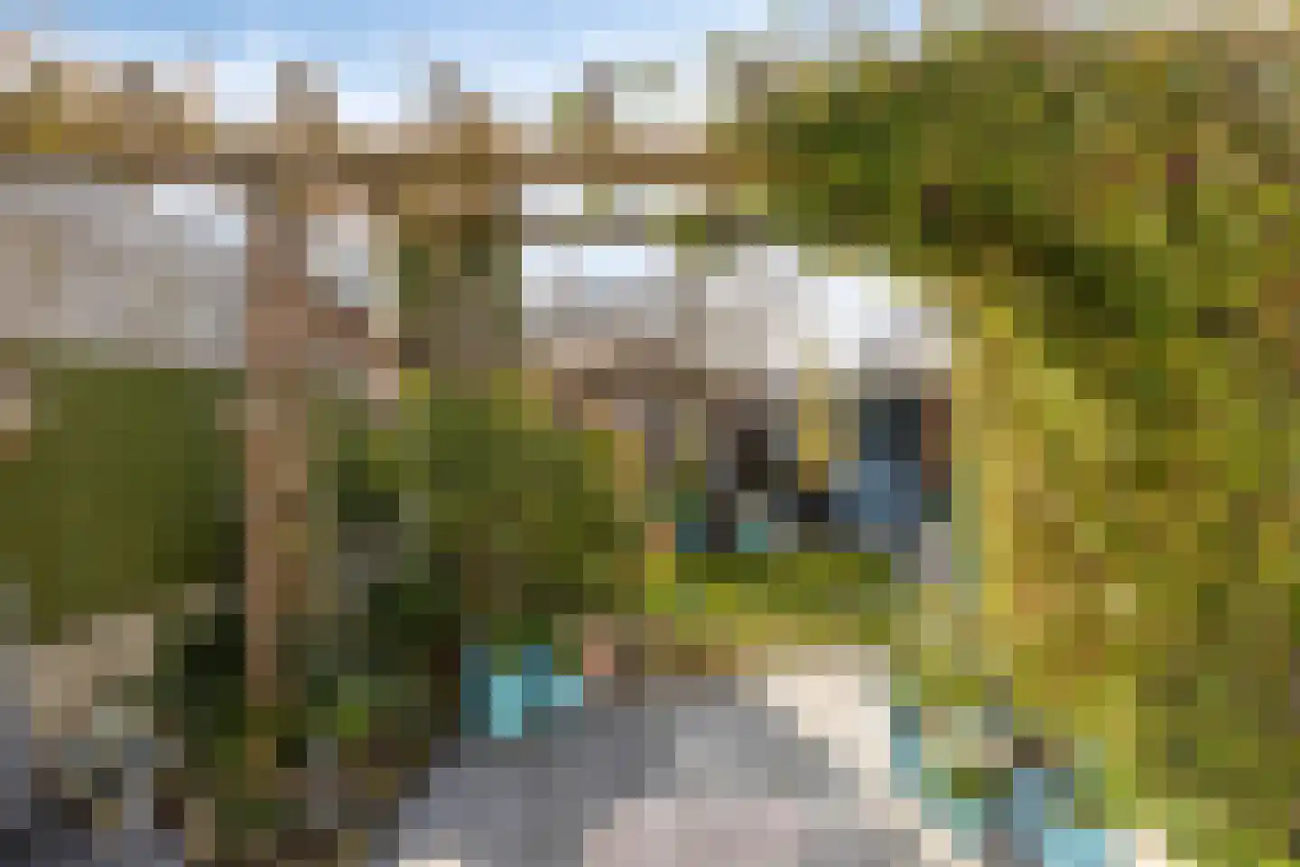 Borgvliet 30 Oss thumbnail 25