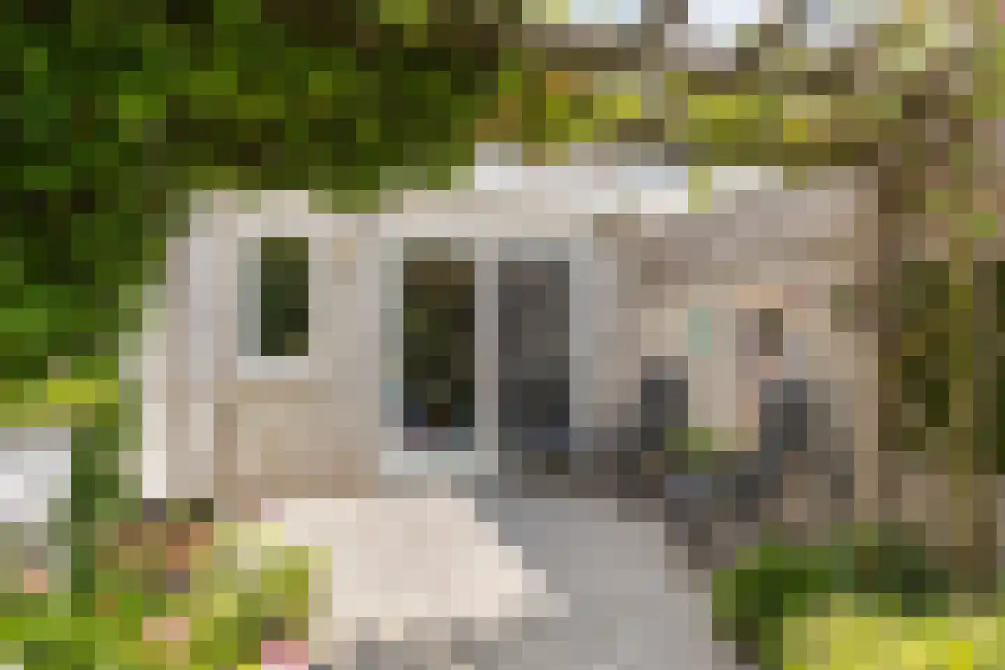 Borgvliet 30 Oss thumbnail 26