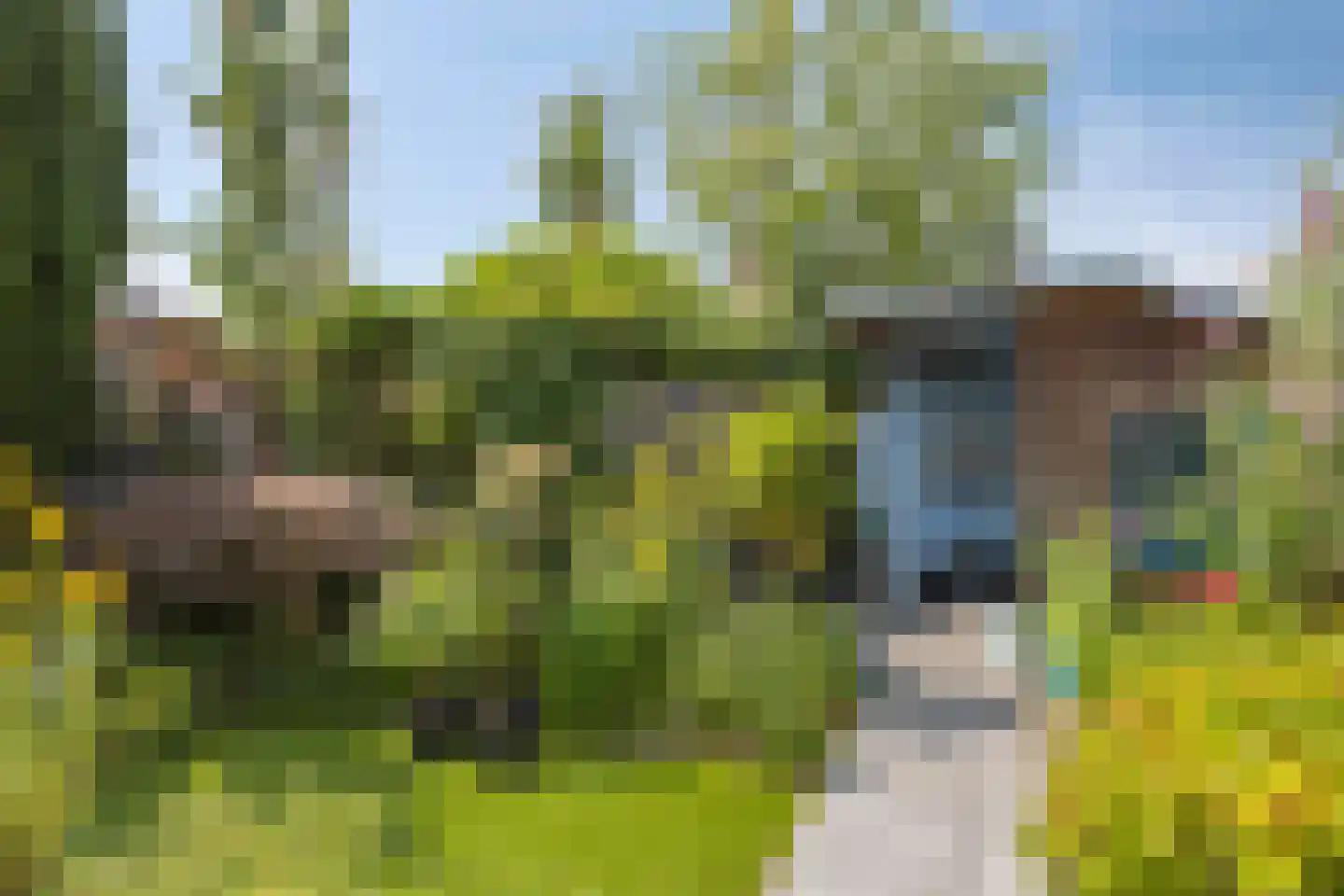 Borgvliet 30 Oss thumbnail 27