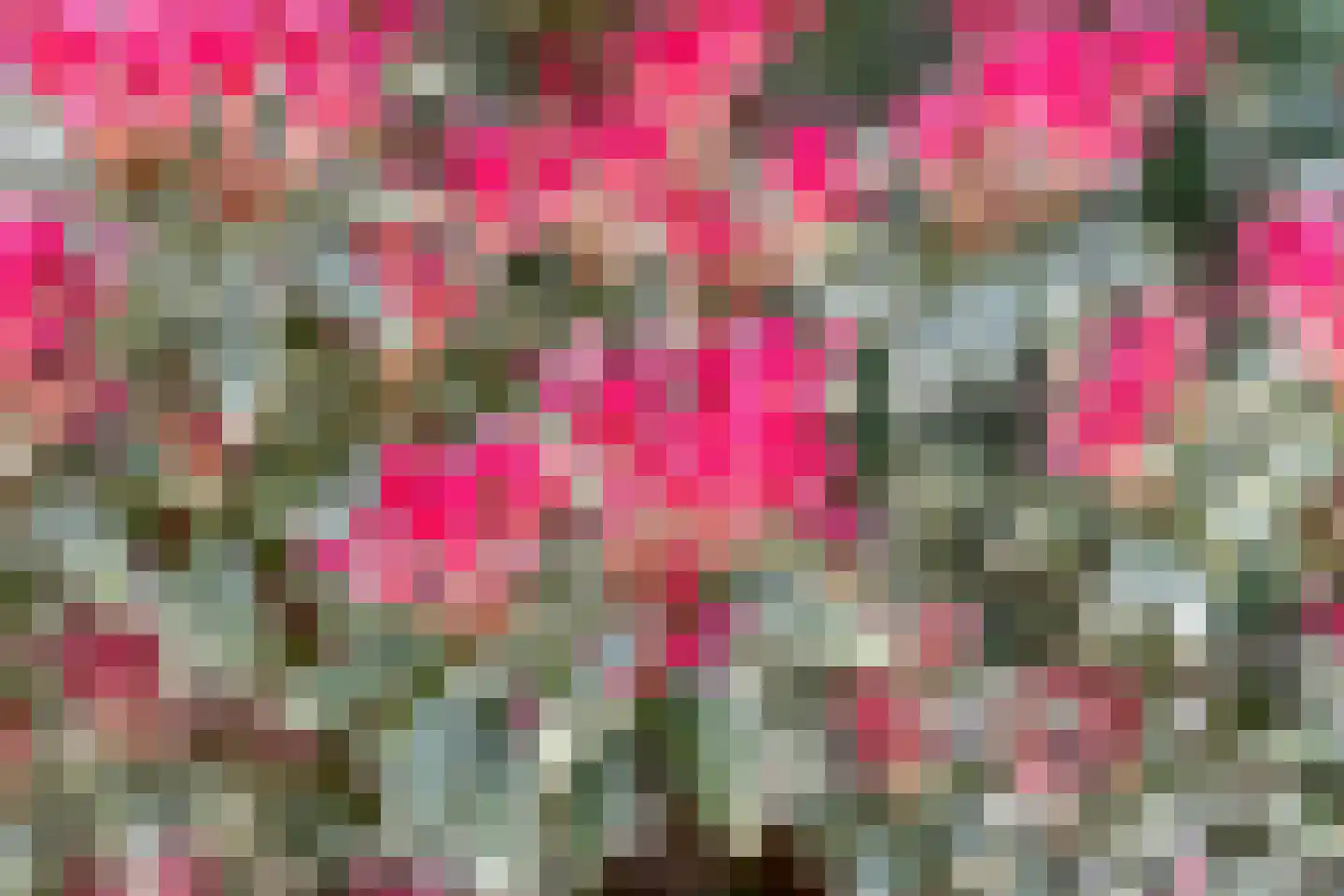 Borgvliet 30 Oss thumbnail 36