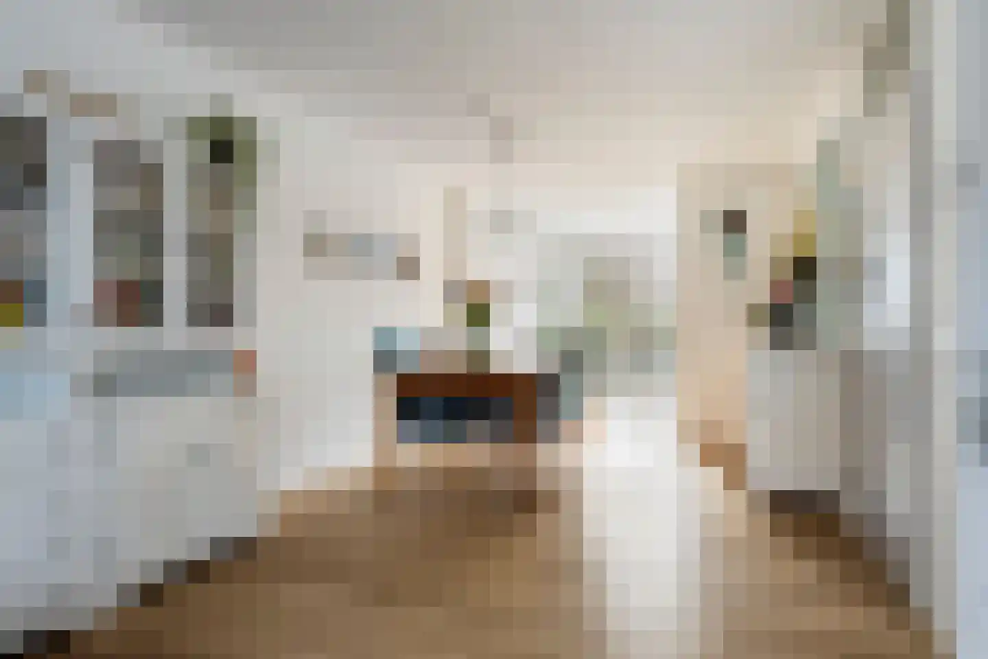Borgvliet 30 Oss thumbnail 9