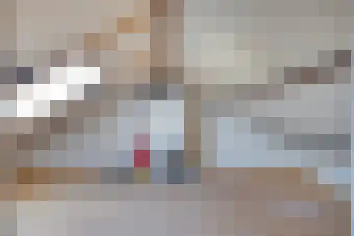 Borgvlietsedreef 126 Bergen op Zoom thumbnail 16