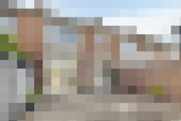 Borgvlietsedreef 126 Bergen op Zoom thumbnail 20