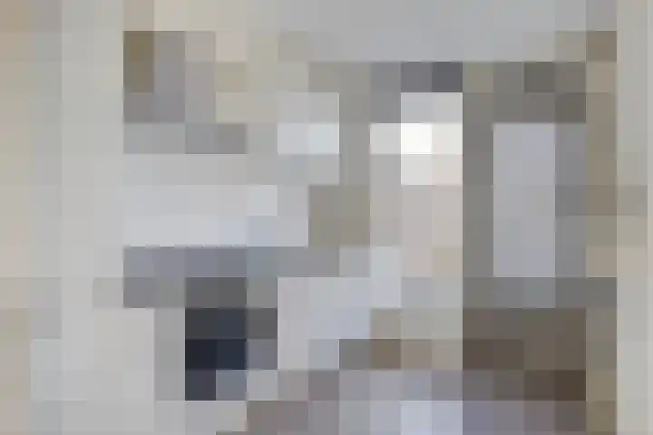 Borgvlietsedreef 126 Bergen op Zoom thumbnail 8