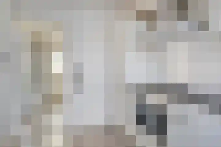 Borgvlietsedreef 126 Bergen op Zoom thumbnail 9