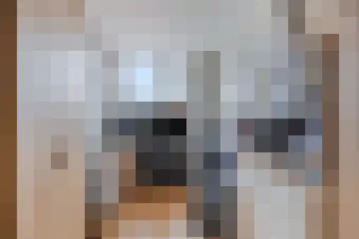 Borgvlietsedreef 77 Bergen op Zoom thumbnail 23