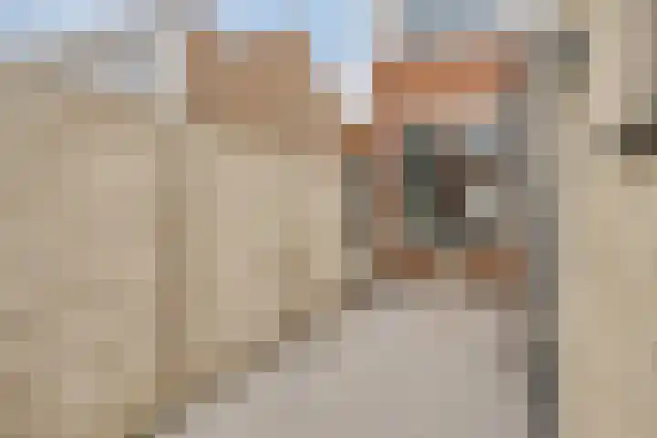 Borgvlietsedreef 77 Bergen op Zoom thumbnail 31