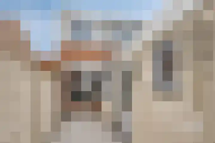 Borgvlietsedreef 77 Bergen op Zoom thumbnail 32