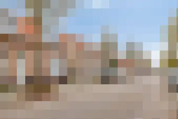 Borgvlietsedreef 77 Bergen op Zoom thumbnail 34