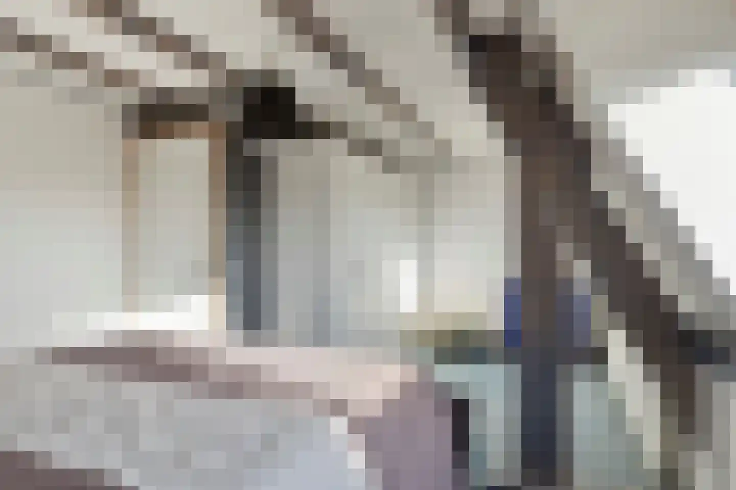 Borgvlietsedreef 80 Bergen op Zoom thumbnail 39