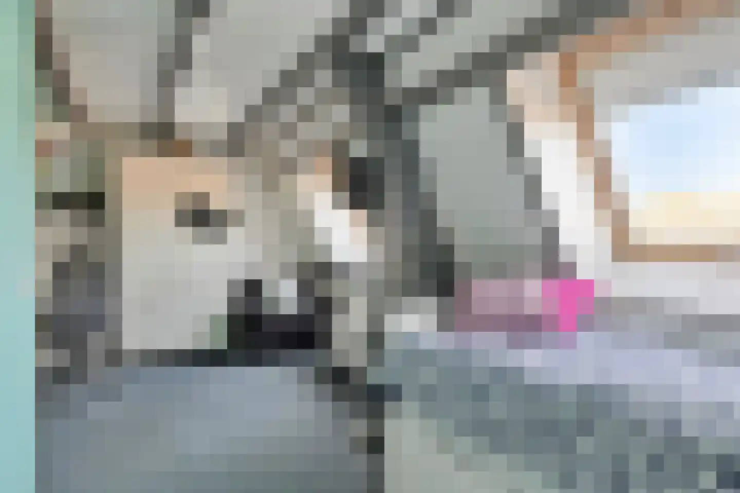 Borgvlietsedreef 80 Bergen op Zoom thumbnail 41