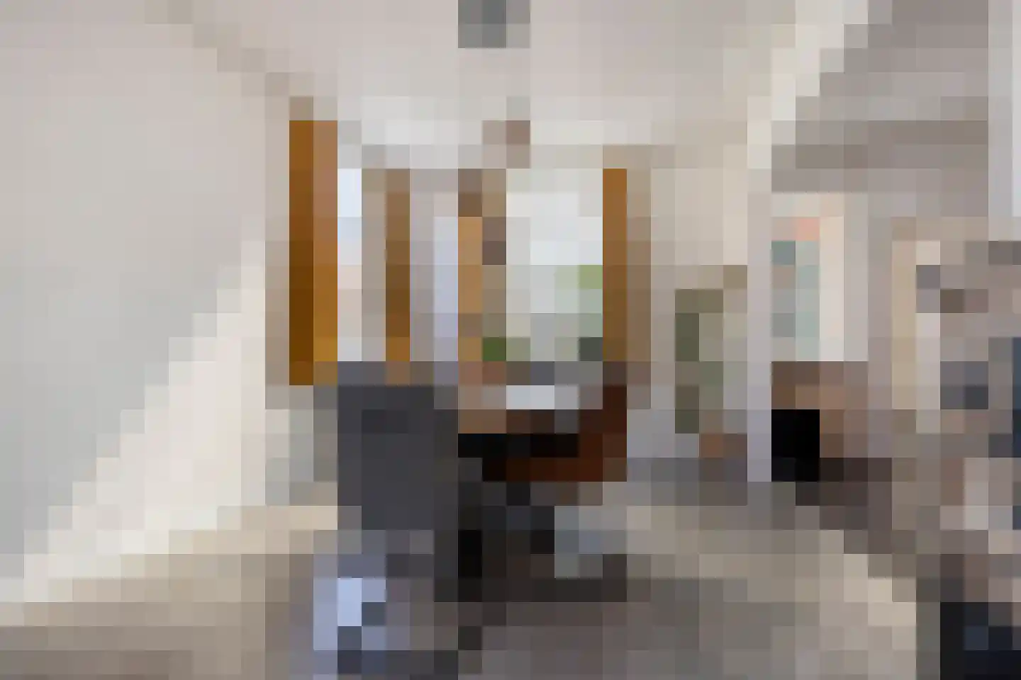 Borgvlietsedreef 89 Bergen op Zoom thumbnail 14
