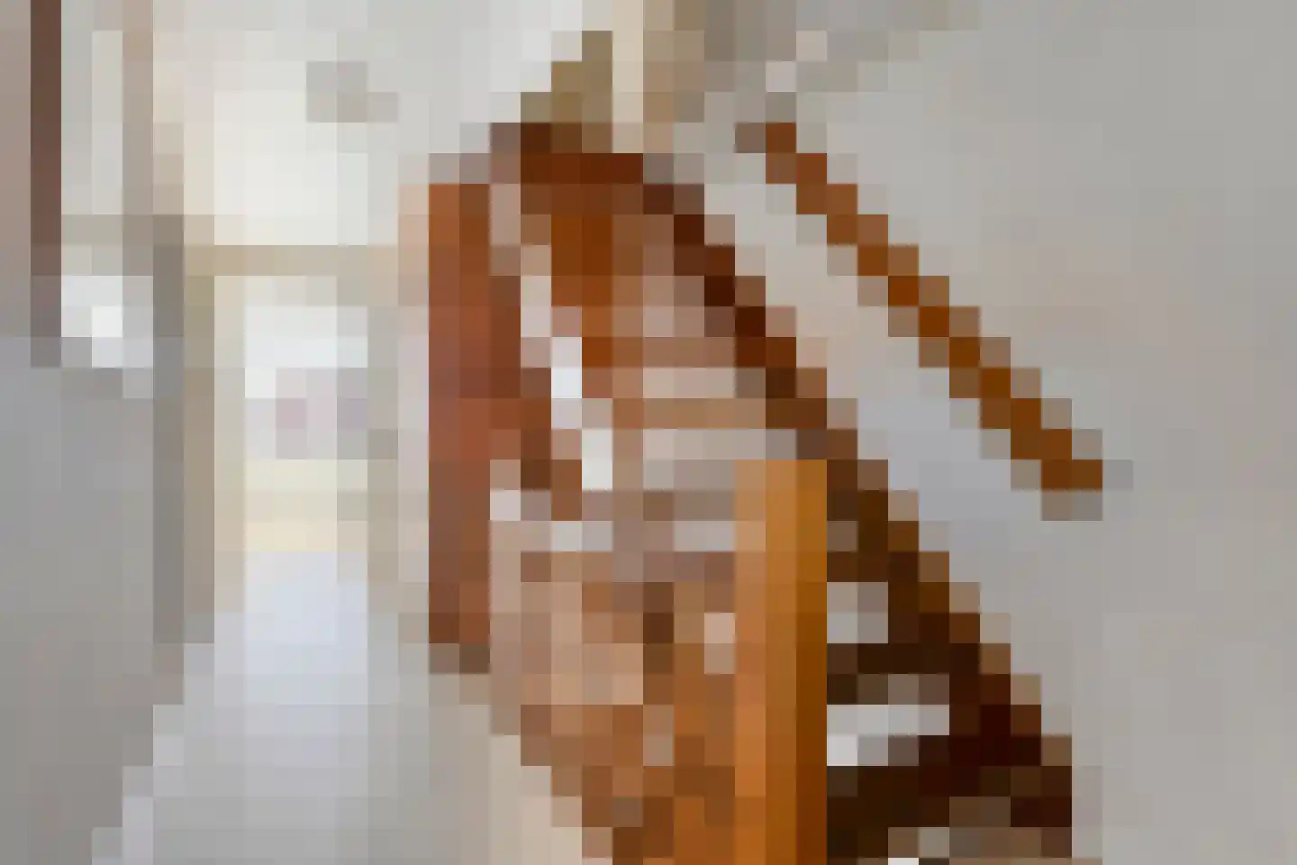 Borgvlietsedreef 89 Bergen op Zoom thumbnail 32