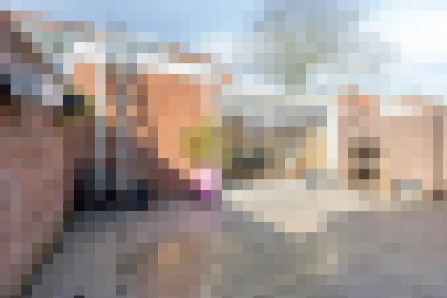 Borgvlietsedreef 89 Bergen op Zoom thumbnail 48