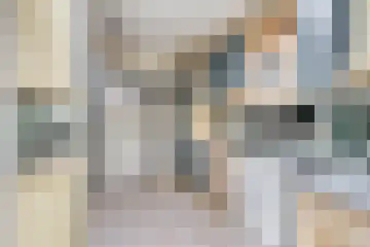 Borgvlietsedreef 97 Bergen op Zoom thumbnail 14