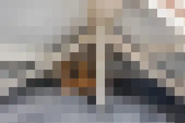 Borgvlietsedreef 97 Bergen op Zoom thumbnail 24