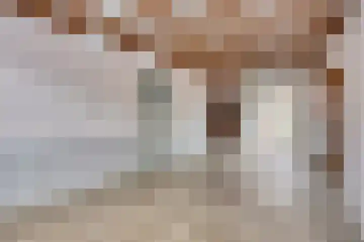Borgvlietsedreef 97 Bergen op Zoom thumbnail 4